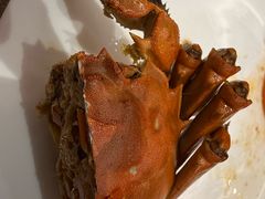 -甄御•海鲜新青岛菜(麦岛店)