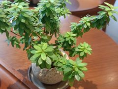 -小西家作•精致蛋糕(富力爱丁堡店)