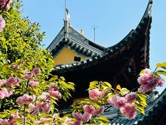 -龙华寺