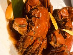 -南麓·浙里(外滩店)