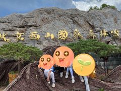 -北京西山国家森林公园