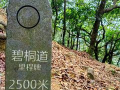 -梧桐山风景名胜区