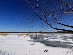 -野鸭湖国家湿地公园