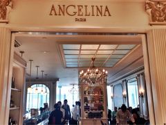 -Angelina(IFC)