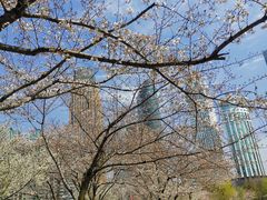 -西北湖绿化广场