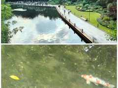 -徐家汇公园