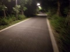 -昆山城市生态森林公园