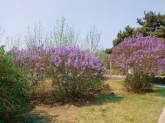 -长春公园(普阳街道)