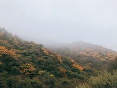 -秦岭风景区