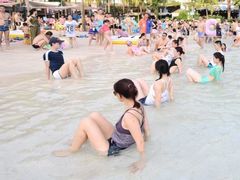 -重庆海昌加勒比海水世界