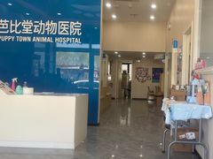 -芭比堂动物医院·CT·微创中心(新顺分院)