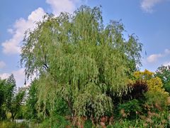 -梁鸿国家湿地公园