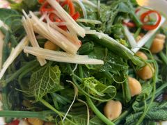 -撒拉花儿·新疆菜·清真(太阳宫店)