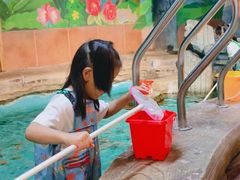 -萌宠奇缘(荣鼎店)