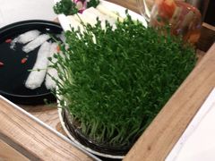 -好彩猪肚鸡(正弘城店)