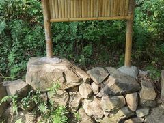 -东明山森林公园