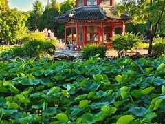-莲池书院博物馆