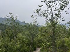 -定都阁