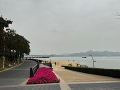 -深圳湾公园(南山区)