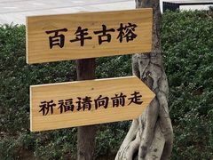 -开元盛世广场(新华北路店)