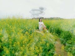-光明小镇欢乐田园