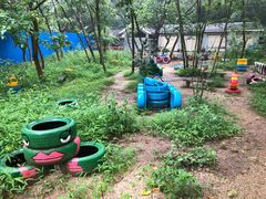 -羚羊峡古栈道森林公园