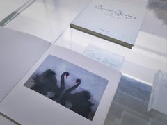 -罗红摄影艺术馆