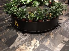 -大鸭梨烤鸭(枣园店)