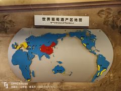 -青岛葡萄酒博物馆