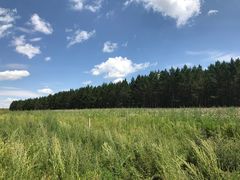 -塞罕坝国家级自然保护区