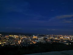 -长虫山生态公园风景林