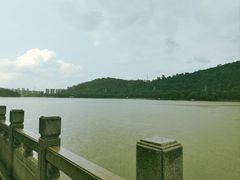 -顺峰山公园