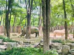 -北京野生动物园