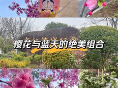 -新江湾城公园