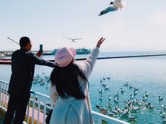 -青海湖国家重点风景名胜区