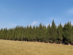 -汉长安城未央宫国家考古遗址公园