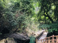 -广州市流溪河国家森林公园