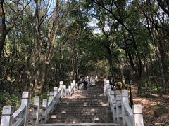 -灵岩山风景区