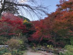 -常寂光寺