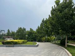 -滨河世纪广场公园