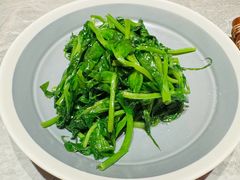 清炒豌豆尖-龙人居·水煮鱼(五道口店)