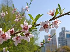 -南通濠河风景名胜区