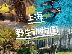 -上海野生动物园