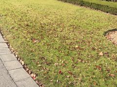 -东华大学(松江校区)