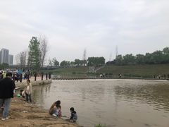 -洨河生态公园