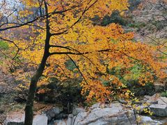 -光雾山旅游景区