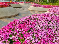 -深圳国际园林花卉博览园