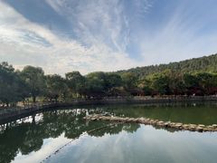 -九龙潭景区