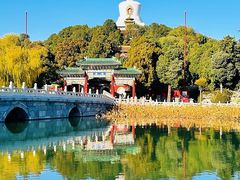 -鸿运诚羊蝎子·火锅(西单店)