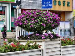 -太婆天府山珍酒楼(亚运村店)